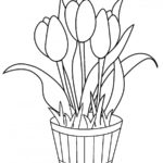 Previous Attachment