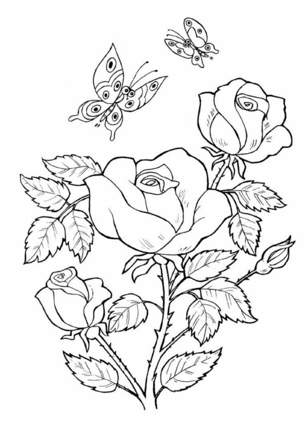Blommor M larbilder blommor-m-larbilder