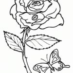 Previous Attachment