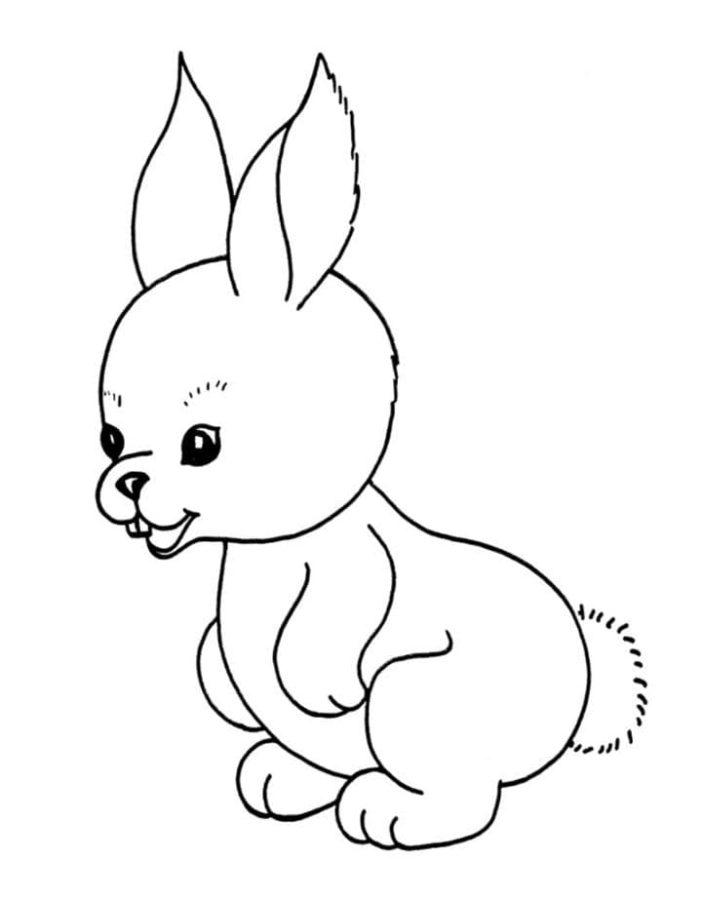Desenhos de Lebre para Colorir