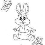 Previous Attachment
