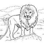 Previous Attachment