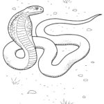 raskraska-zhivotnie (84)