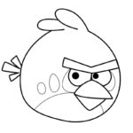 raskraski-angry-birds (14)