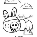 raskraski-angry-birds (19)