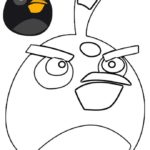 raskraski-angry-birds (24)