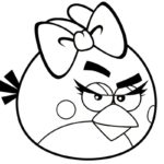 raskraski-angry-birds (27)