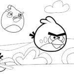 raskraski-angry-birds (34)