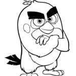 raskraski-angry-birds (7)