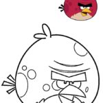 raskraski-angry-birds (71)