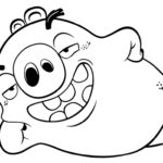 raskraski-angry-birds (8)