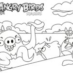 raskraski-angry-birds (96)