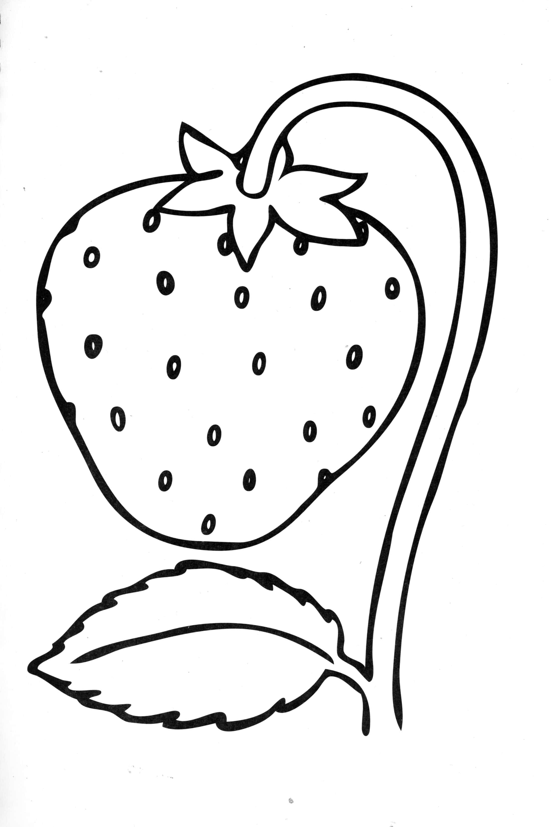 Download Coloring Pages for 2- to 3-Year-Old Kids. Download Them or ...