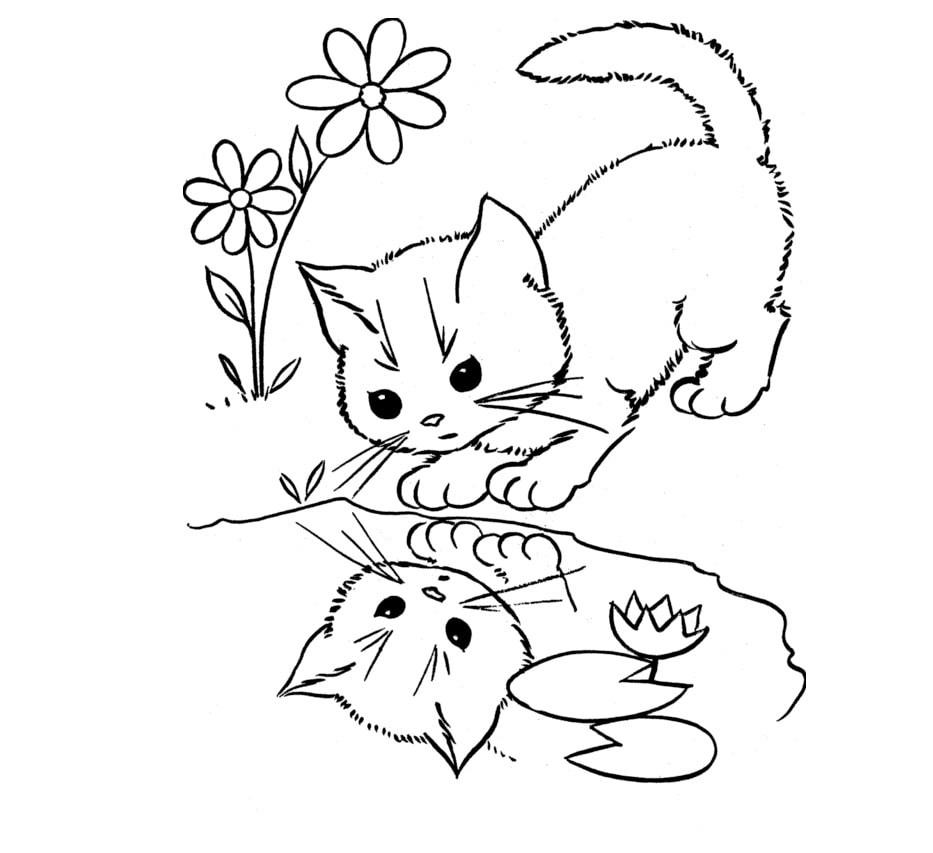 Desenhos de Gatos para Colorir