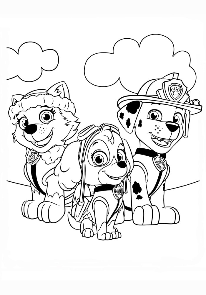 Desenhos de Patrulha Canina para colorir - 80 imagens para imprimir