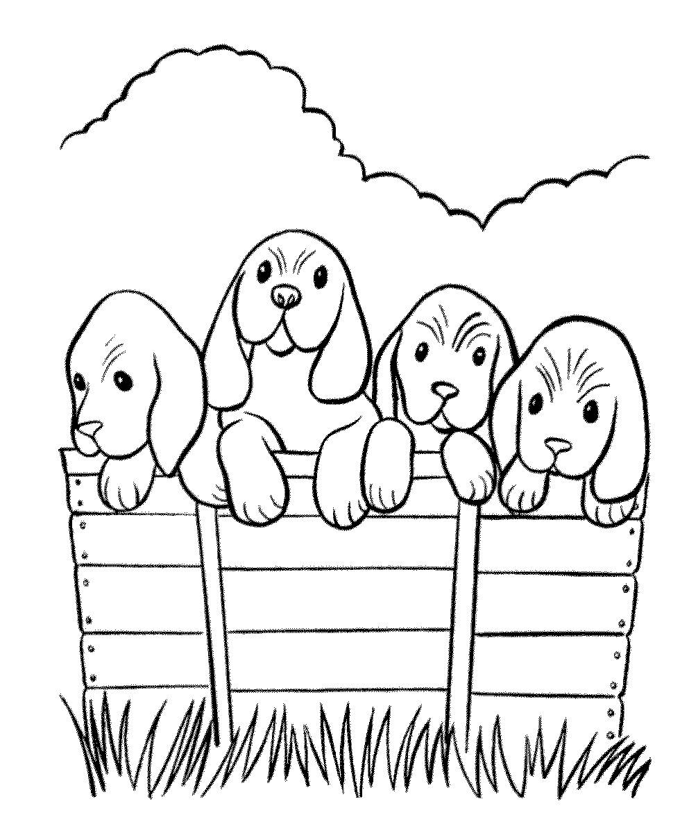 Dibujos de Perros para Colorear