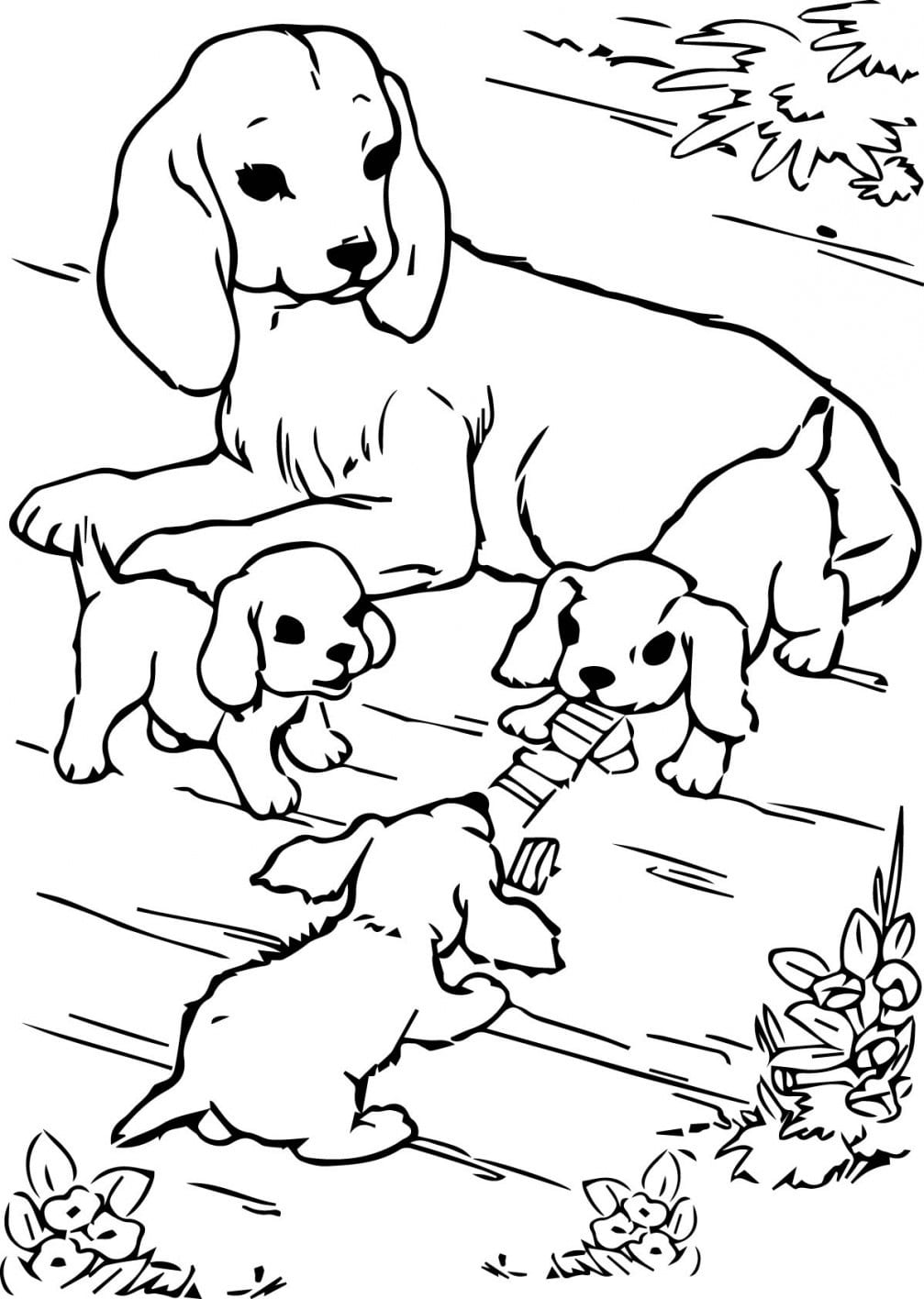 Hunde Malvorlagen für Kinder. Drucken Sie online kostenlos!