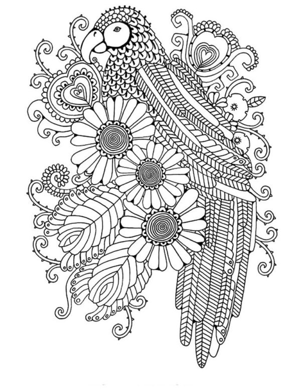 Hard Coloring Pages For Girls | 100 images Free Printable