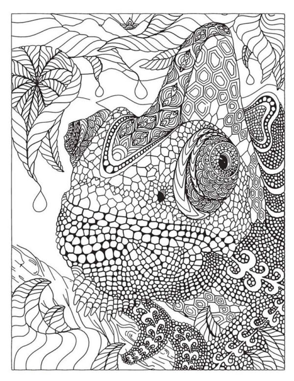 Hard Coloring Pages For Girls | 100 images Free Printable